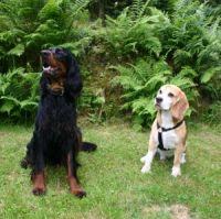 Monty mit seinem Freund Mike